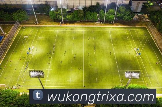 多媒体互动体验